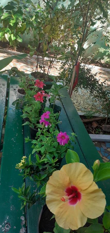 Pousada 4 Cantos Corumba Εξωτερικό φωτογραφία